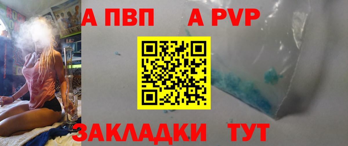 Alfa_PVP СК Сунжа