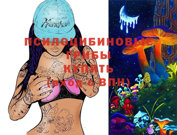 ECSTASY Алагир
