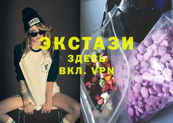 индика Михайловск