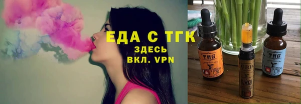 индика Михайловск