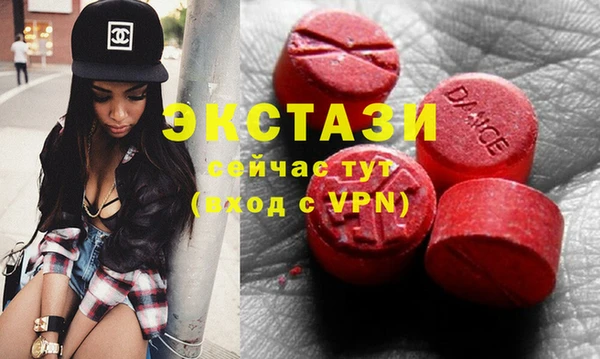 индика Михайловск