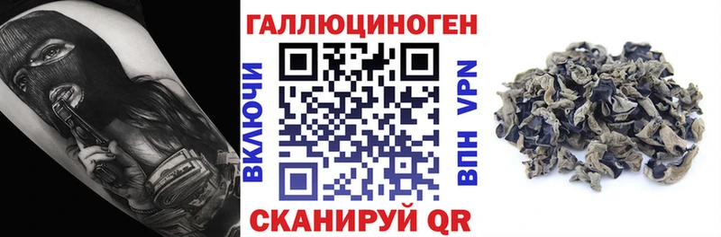 Псилоцибиновые грибы мицелий  Сунжа 