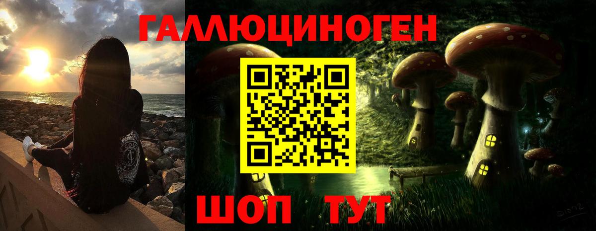 Псилоцибиновые грибы прущие грибы Сунжа