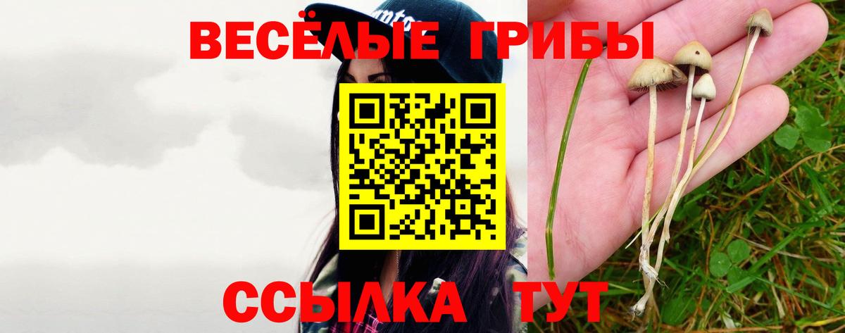 Псилоцибиновые грибы MAGIC MUSHROOMS  Галлюциногенные грибы Cubensis  Вход с VPN  наркота  Сунжа 