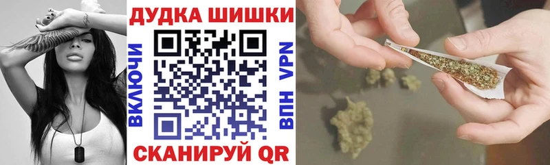 Канабис сатива мега tor Сунжа купить цена