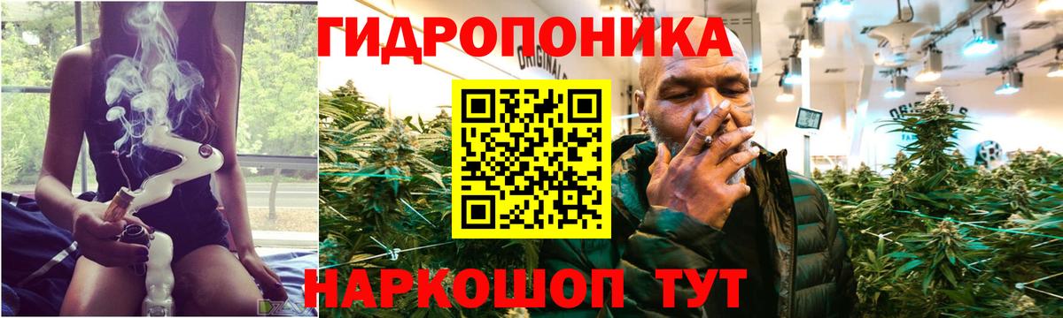 Каннабис VHQ Сунжа